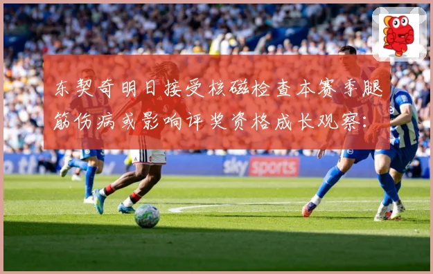东契奇明日接受核磁检查本赛季腿筋伤病或影响评奖资格成长观察：最新赛事动态与深度分析