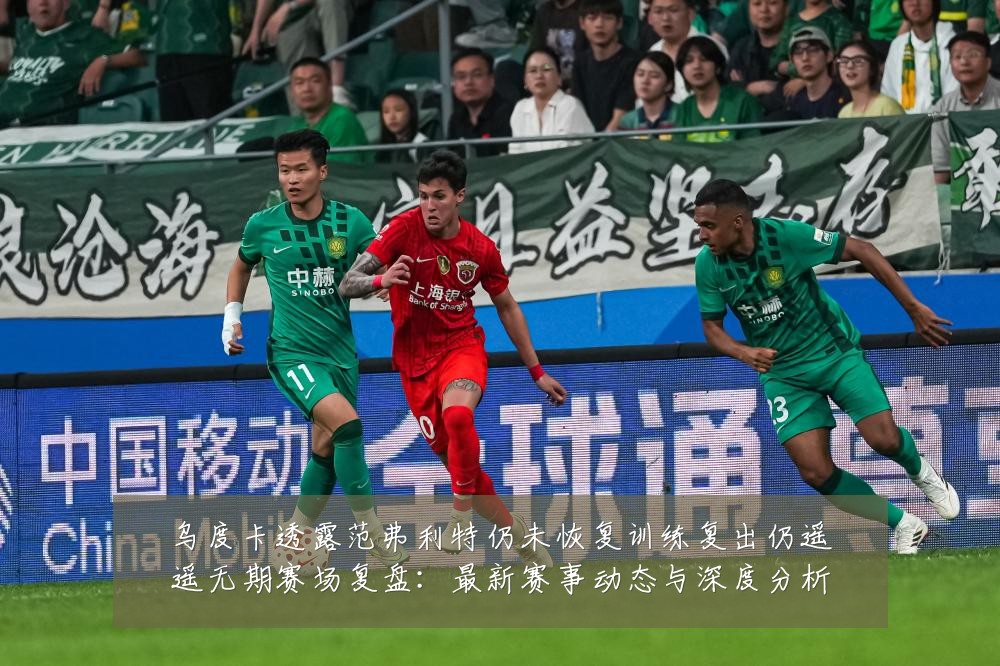 乌度卡透露范弗利特仍未恢复训练复出仍遥遥无期赛场复盘:最新赛事动态与深度分析